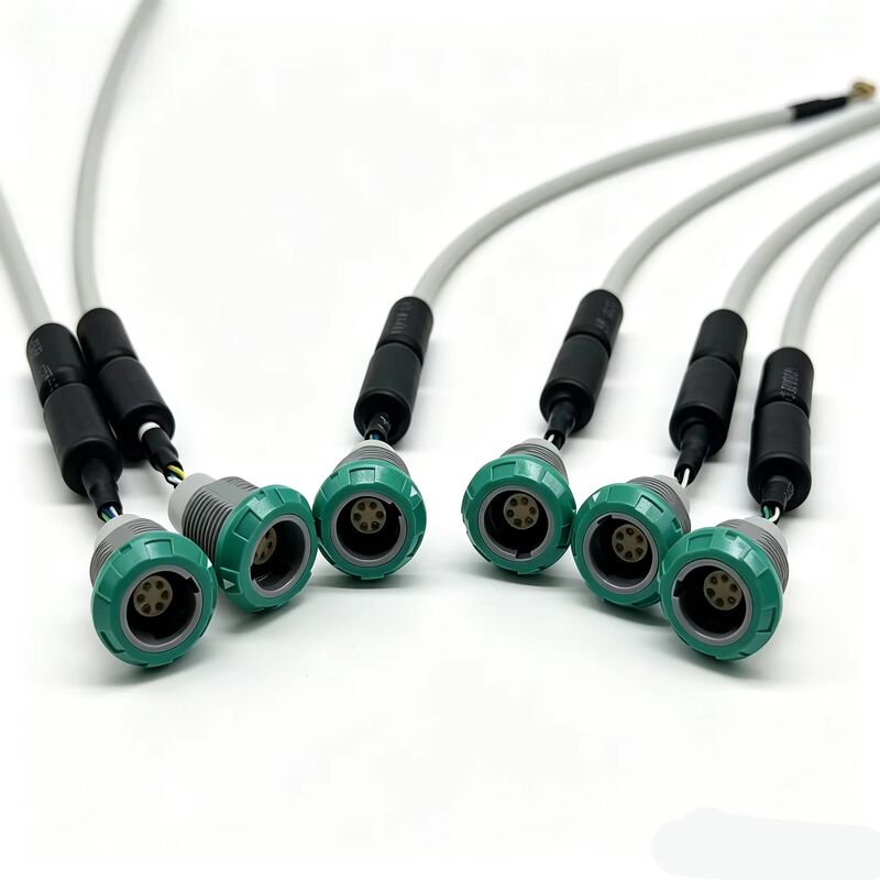 Alta qualità OEM ODM Custom Electrical High Temperature Wire Harness Cables Assembly Tutti i tipi di cavi Wire Harness Assembly