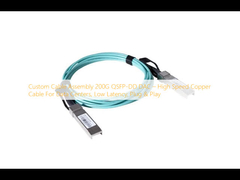 Assemblaggio di cavi personalizzato 200G QSFP-DD DAC