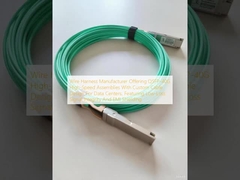 Produttore di cablaggi che offre assemblaggi QSFP-40G ad alta velocità con design di cavi personalizzati per data center, caratterizzati da integrità del segnale a bassa perdita e schermatura EMI